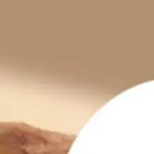 

Facial Gua Sha Tool Brass Lotus Eye Massage Stick Handheld Tool For Eye Relaxation And Meridian Acupressure Massage