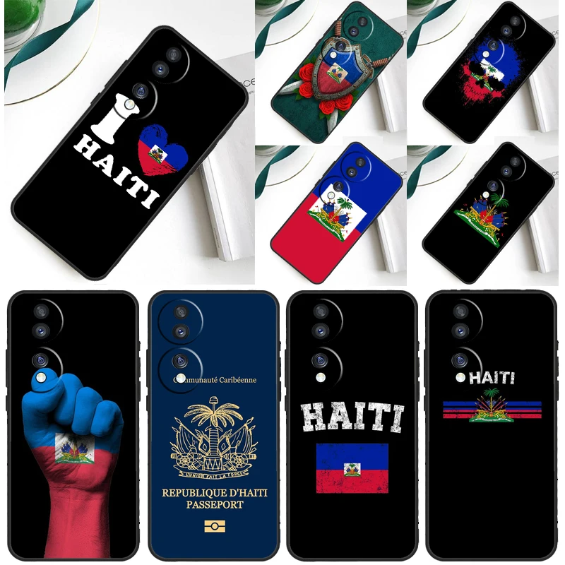 Haiti Haitian Flag … - image