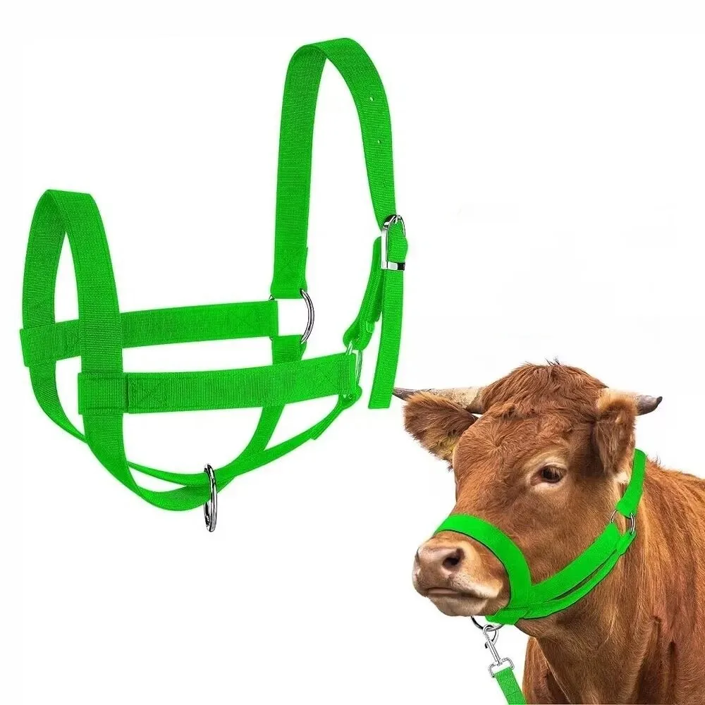 Adjustable Cow Halter with Lead Heavy Duty Durable Calf Training Rope Comfort Fit Harness Cattle Halter Training Rope Harness