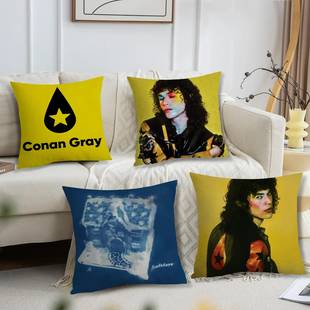 

Singer Conan Gray Holidays cushion cover For Bedroom Car Coffee Shop Room Soft and Living Room Sofa Decorative Pillow Cover Case