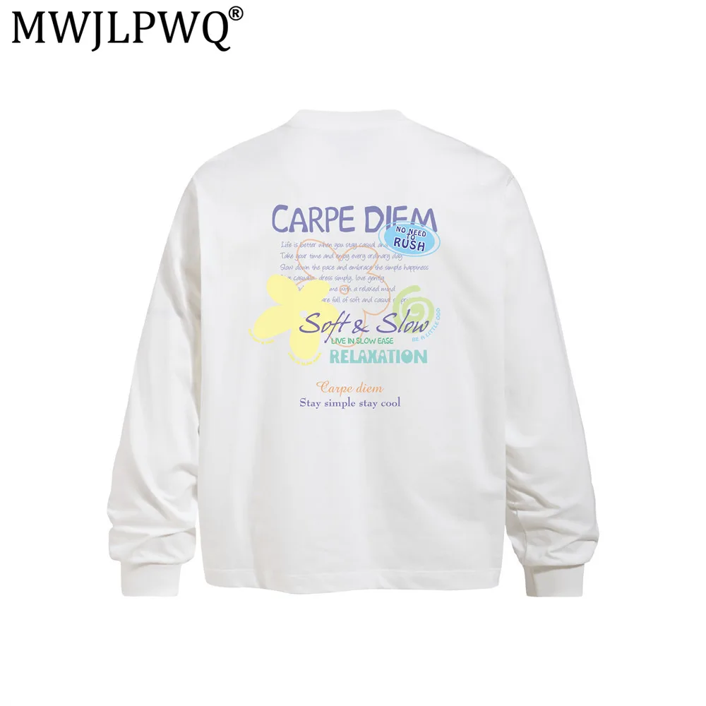 MWJLPWQ Letter Print Loose Long Sleeve T-Shirt Men's Hip-Hop Street Style Ins Trend Spring Autumn Long Sleeve Casual Tops 20712