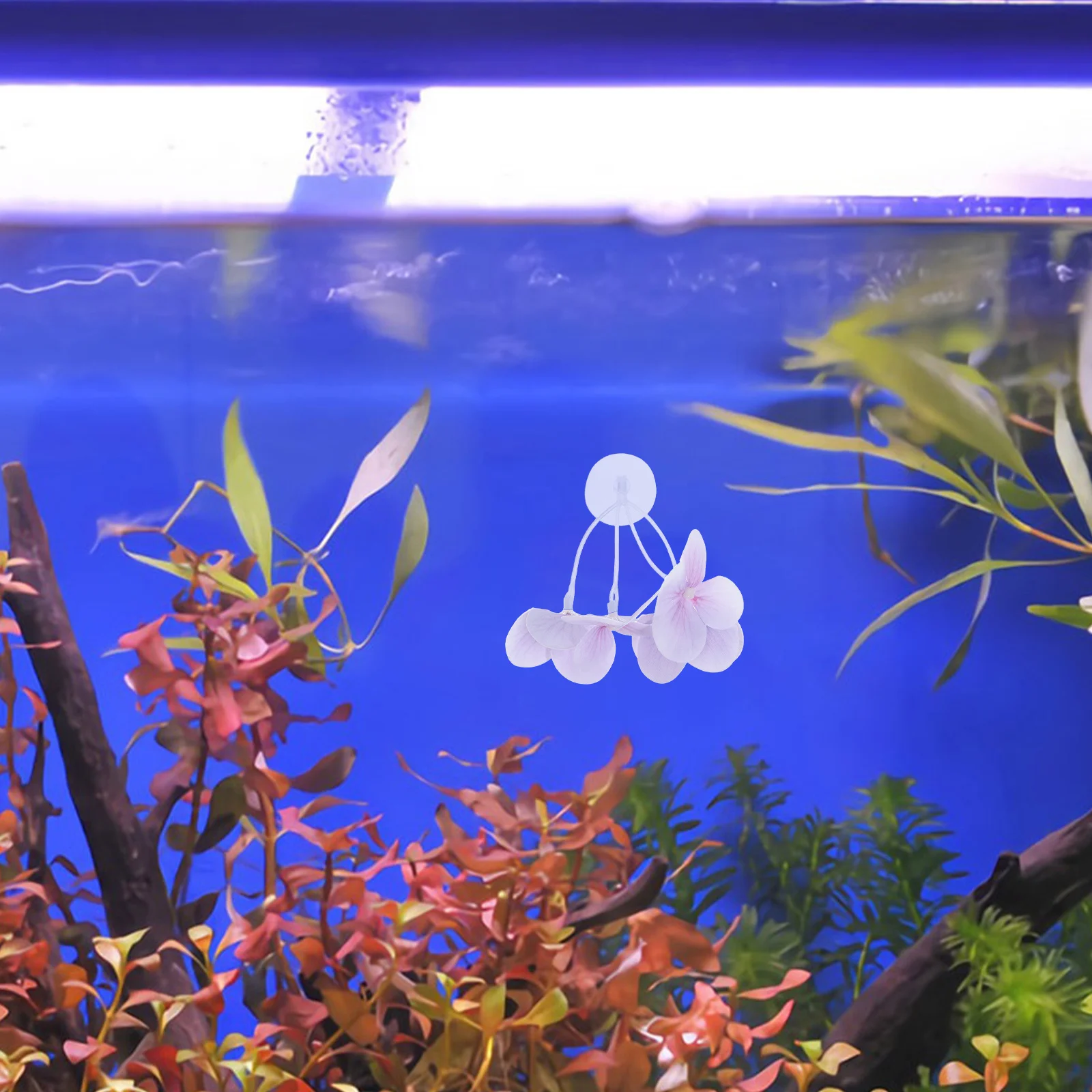 

Realistic Artificial Aquarium Plants Simulation Aquatic Grass Decor For Betta Tank Accessories Fish Aquarium Decor Small