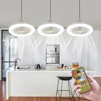 E27 Ceiling Fan with Lights Remote Mini 10 Inch Enclosed Low Profile Fan Light Ceiling Light with Fan 3 Speeds 3 Light Color