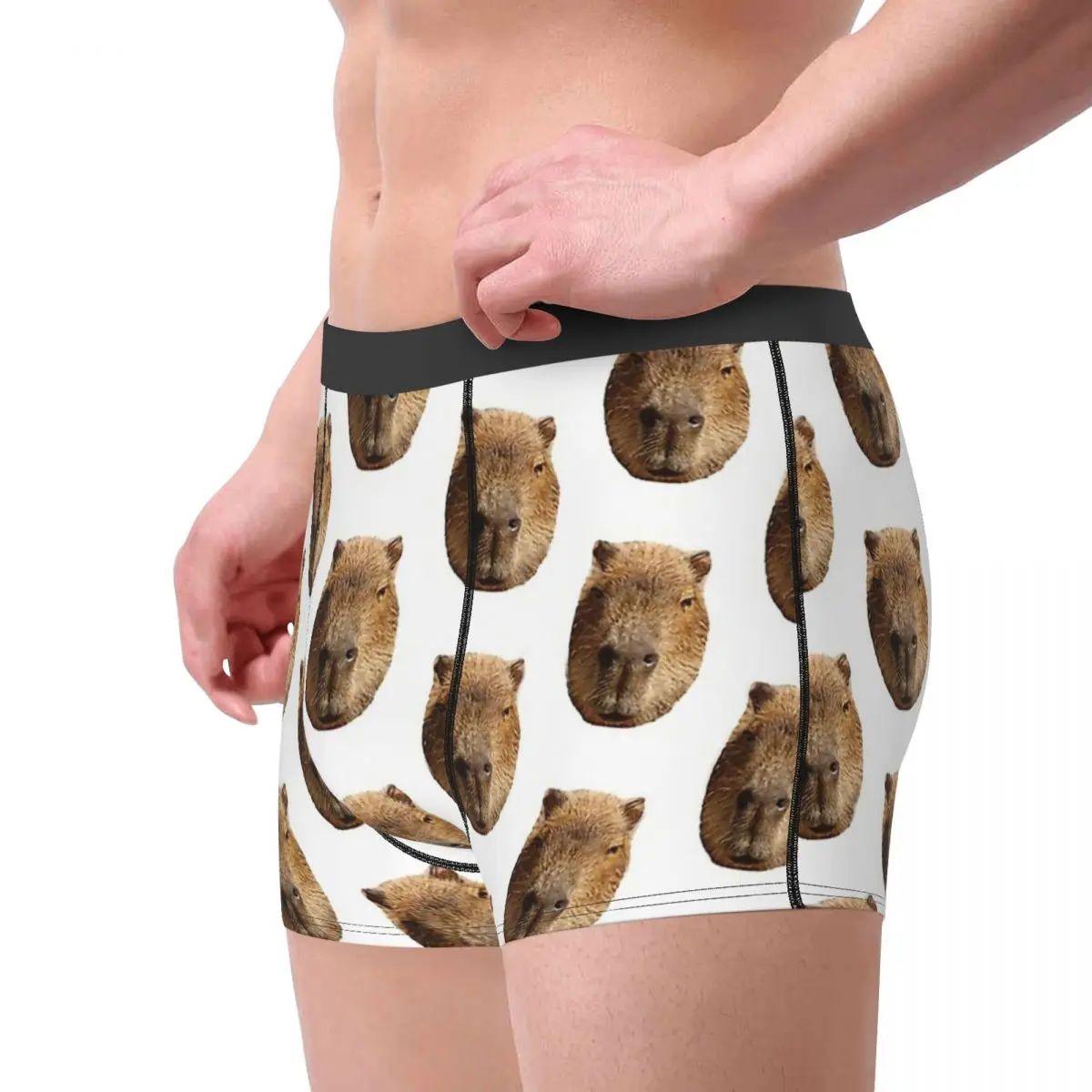 Male Capybara Face Capybara Hydrochoerus Hydrochaeris Animal Underpants Panties Man Underwear Print Shorts Boxer Briefs