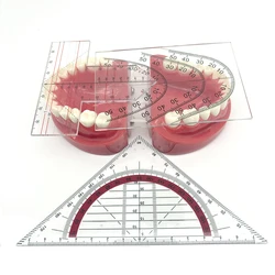 Dental Guide Plate Teeth Arrangement On Denture Work Dental Teeth Guide Plate Ruler Denture Drawing and Alignment