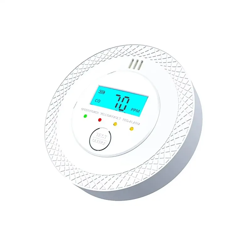 Hot Selling European Standard Indoor Wall-Mounted Independent Carbon Monoxide & Smoke Detector
