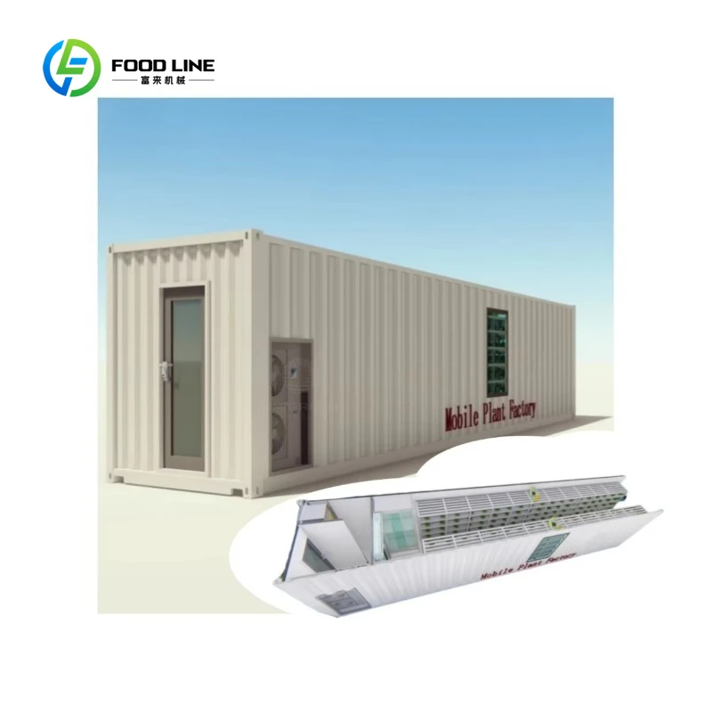 Customized 40ft Commercial Hydroponic Container Farm Vertical NFT Smart Plant Factory With LED For Lettuce Microgreen Fodder