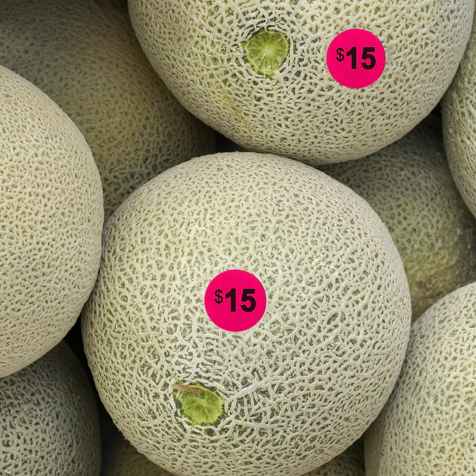 10 أوراق ملصقات بطاقات الأسعار الملونة شارات ذاتية التسعير ملصقات التسعير لسوبر ماركت الأعمال الصغيرة للبيع بالتجزئة #1