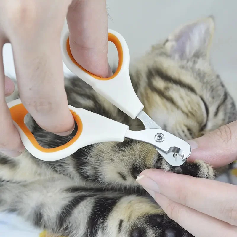 

Professional Pet Nail Clipper, Nail Trimmer, Stainless Steel, Labor-Saving, Convenient Grooming and Care, Dog Cat Accessories