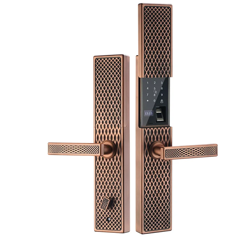 

zc02 Brass Smart Door Lock Magnificent European Smart Door Lock Fingerprint Security Digital Door Lock