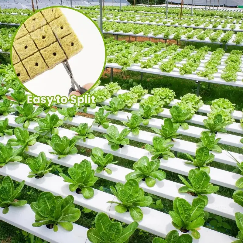 50Pcs Plant Rooting Rock Wool Cubes Water Saving Hydroponic Media for Seed Cuttings Propagation Grow Tent Use
