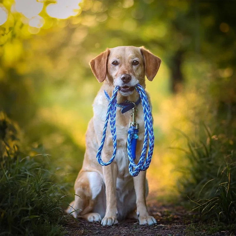 Braided Dog Lead, 1.3 m, Adjustable, Weatherproof and Tear-Resistant up to 75 kg, Paracord Lead, Shoulder Lead, Small Large Dogs