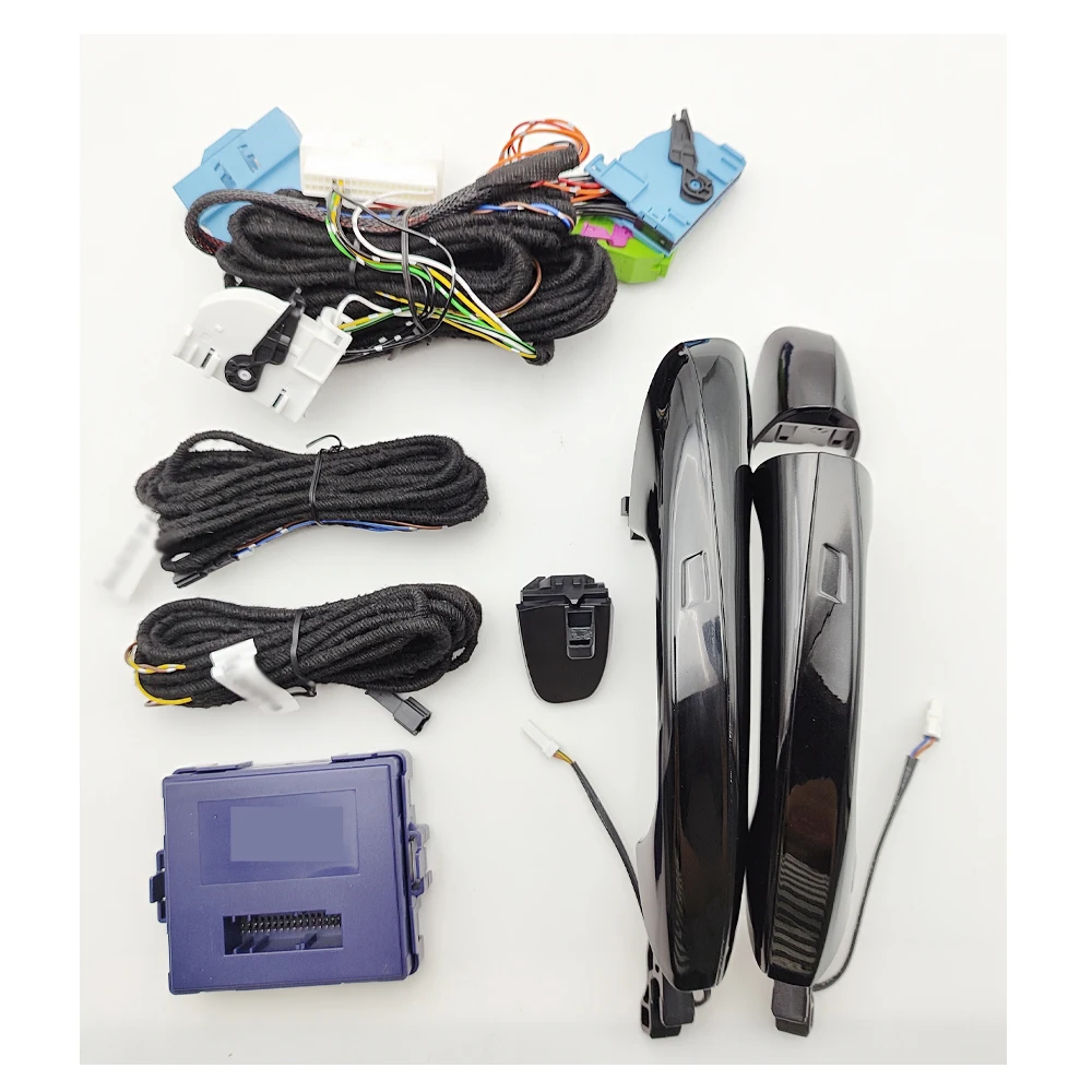 Keyless Go Access S… - image