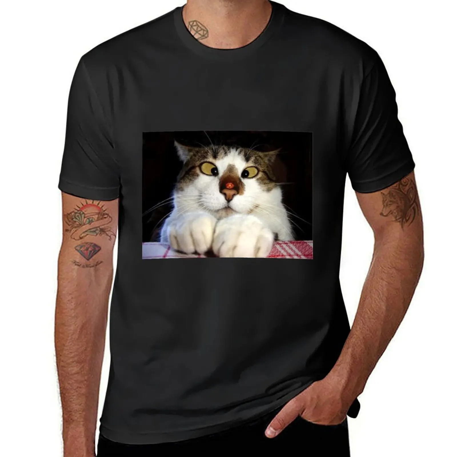 Funny Crossed Eyed Cat And Ladybird T-Shirt plus size tops cute clothes for a boy mens t shirt graphic