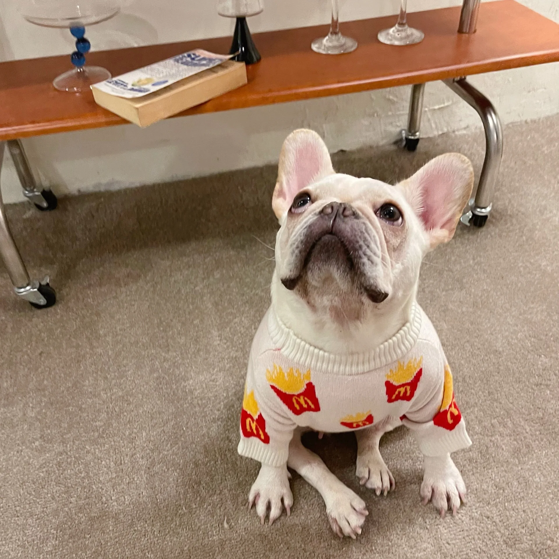 Pet Dog Autumn Winter Warm Clothes Cute French Fries Printed Soft Cotton Sweater for Pet  Small Medium Dogs Pet Clothing Supplie