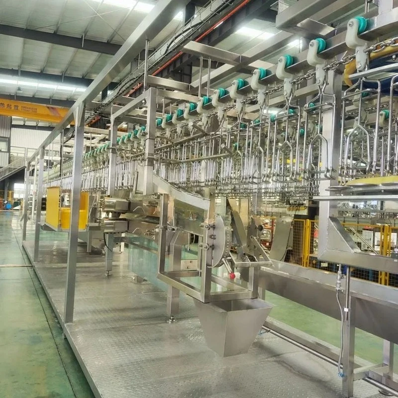 Automatic Abattoir Slaughterhouse Equipment Automatic Sorting Customized Mobile Poultry Slaughter Compact Line
