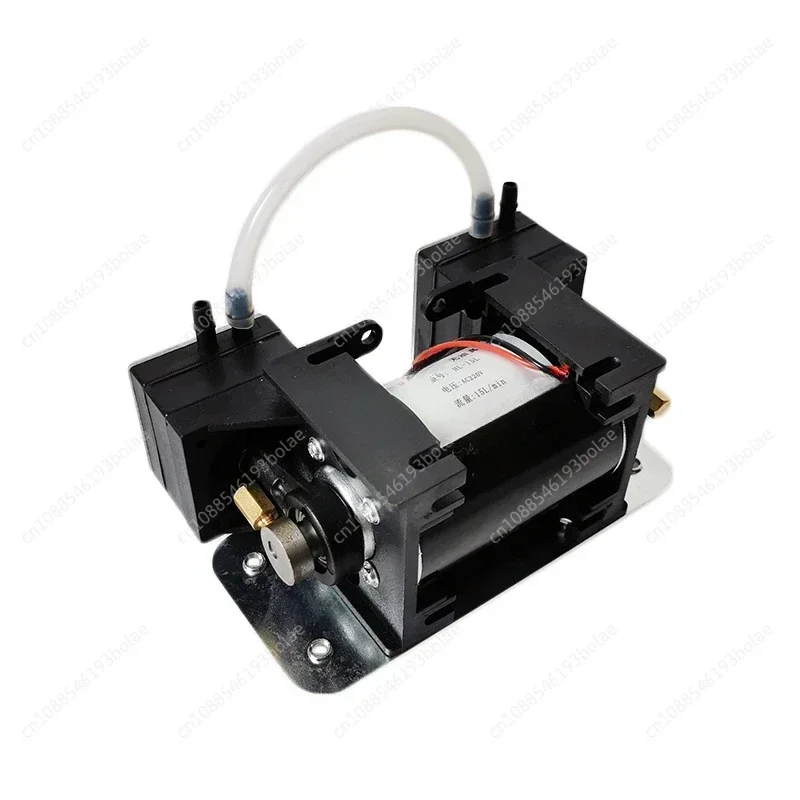 12V/220V High Positive Negative Pressure Vacuum Pump Large  Beauty Instrument Mute Double Head Diaphragm Pump Micro Air Pump