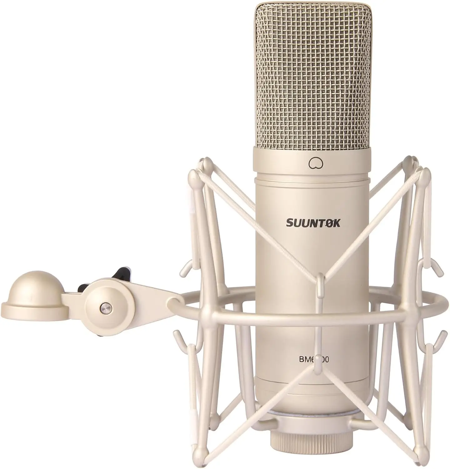 

Condenser Microphone XLR, Large Diaphgram Professional Recording Cardioid Microphone Kit with Shock Mount, for Studio (Silver)