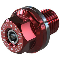 Motorcycle Magnetic Oil Sump Nut Drain Oil Plug Screw Oil Drain bolt oil pan screw For KAWASAKI NINJA H2/R ZX-10R ZX-6R NINJA650