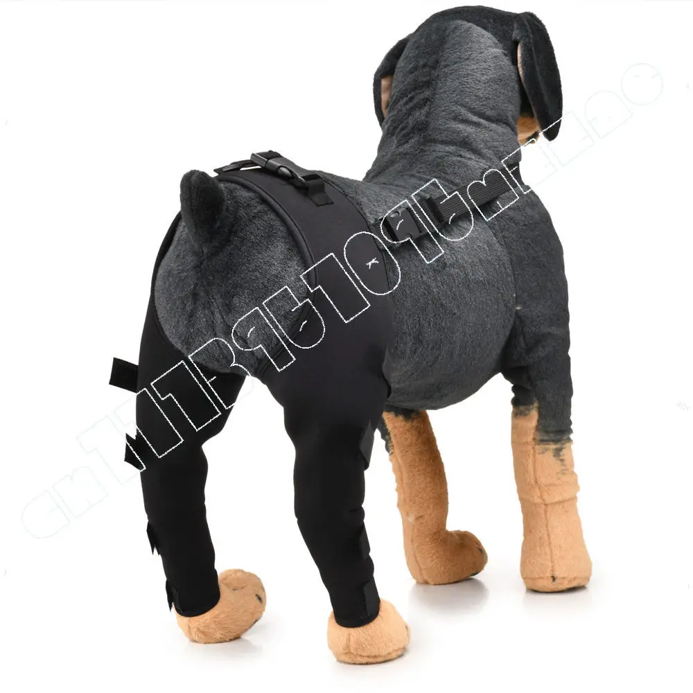 Pet hind leg knee pads dog leg pads injury protective cover patellar dislocation dislocation postoperative recovery