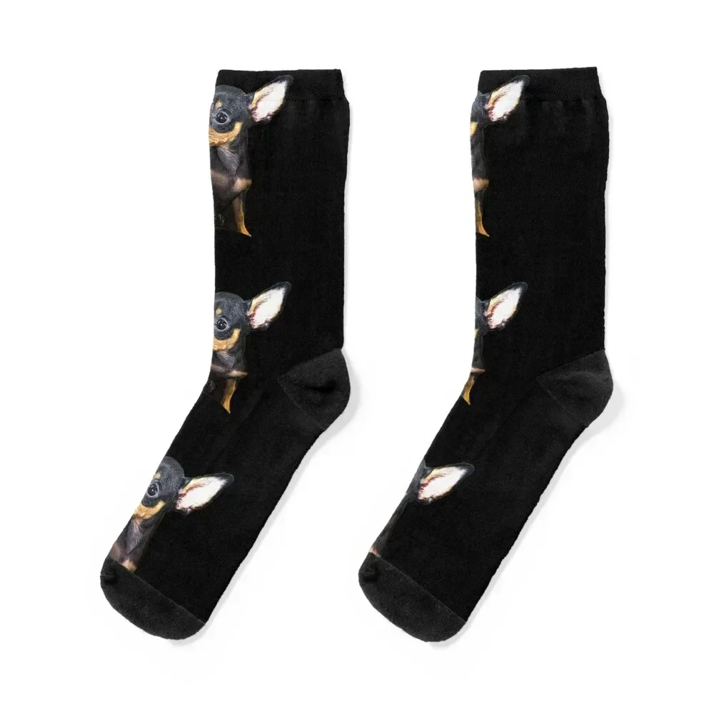 A Chipin Puppy Socks cute sheer Christmas Woman Socks Men's