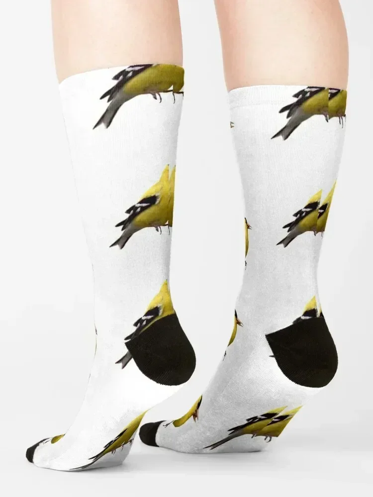 yellow finch Socks with print custom Men's cartoon Socks Men's Women's