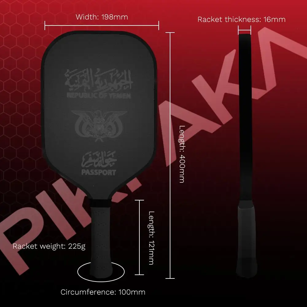 Рисунок 5 - Y-Yemen P-PassportS Pickleball