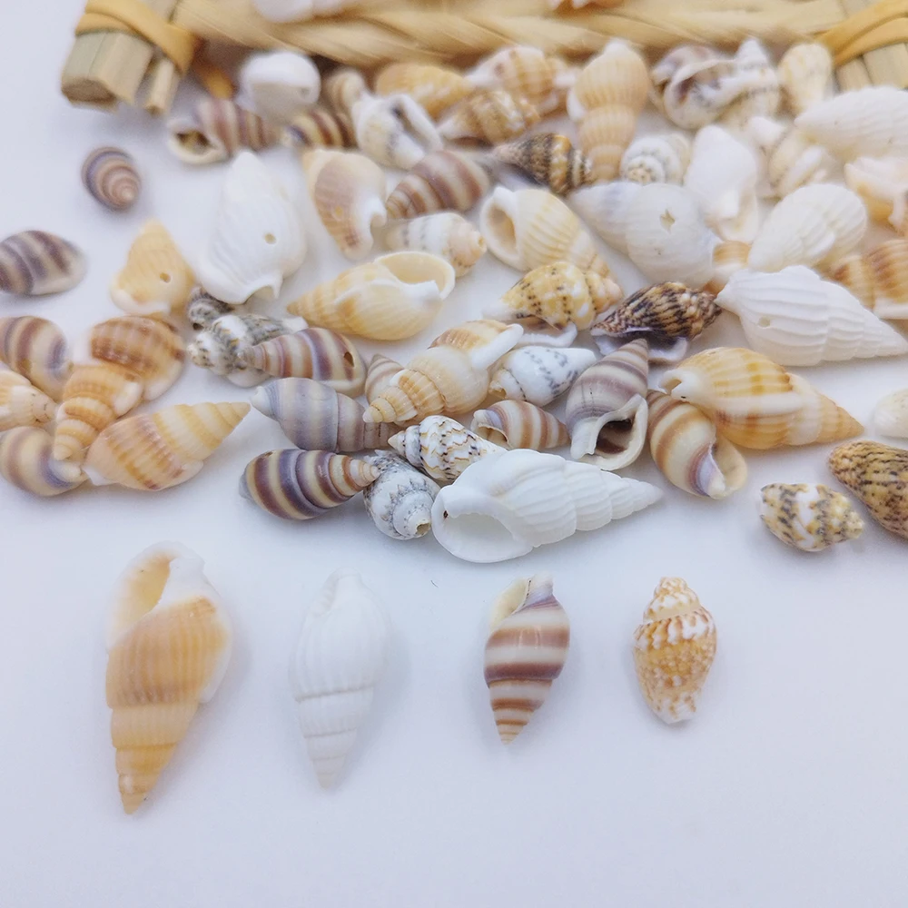 

20/40PCS Natural Perforated Shell Conch Pendant Hand-Perforated DIY Necklace Bracelet Earrings Jewelry Handcrafted Material