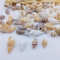 20/40PCS Natural Perforated Shell Conch Pendant Hand-Perforated DIY Necklace Bracelet Earrings Jewelry Handcrafted Material