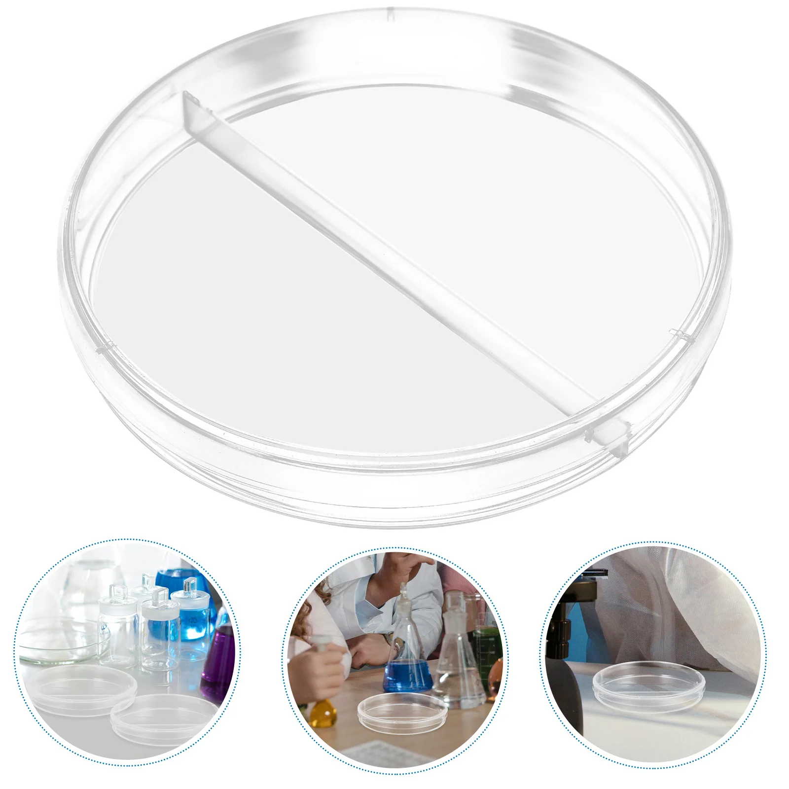 

10Pcs Plastic Petri Dishes Clear Divided Culture Plates Laboratory Agar Dishes Lids for Research Botany Biology