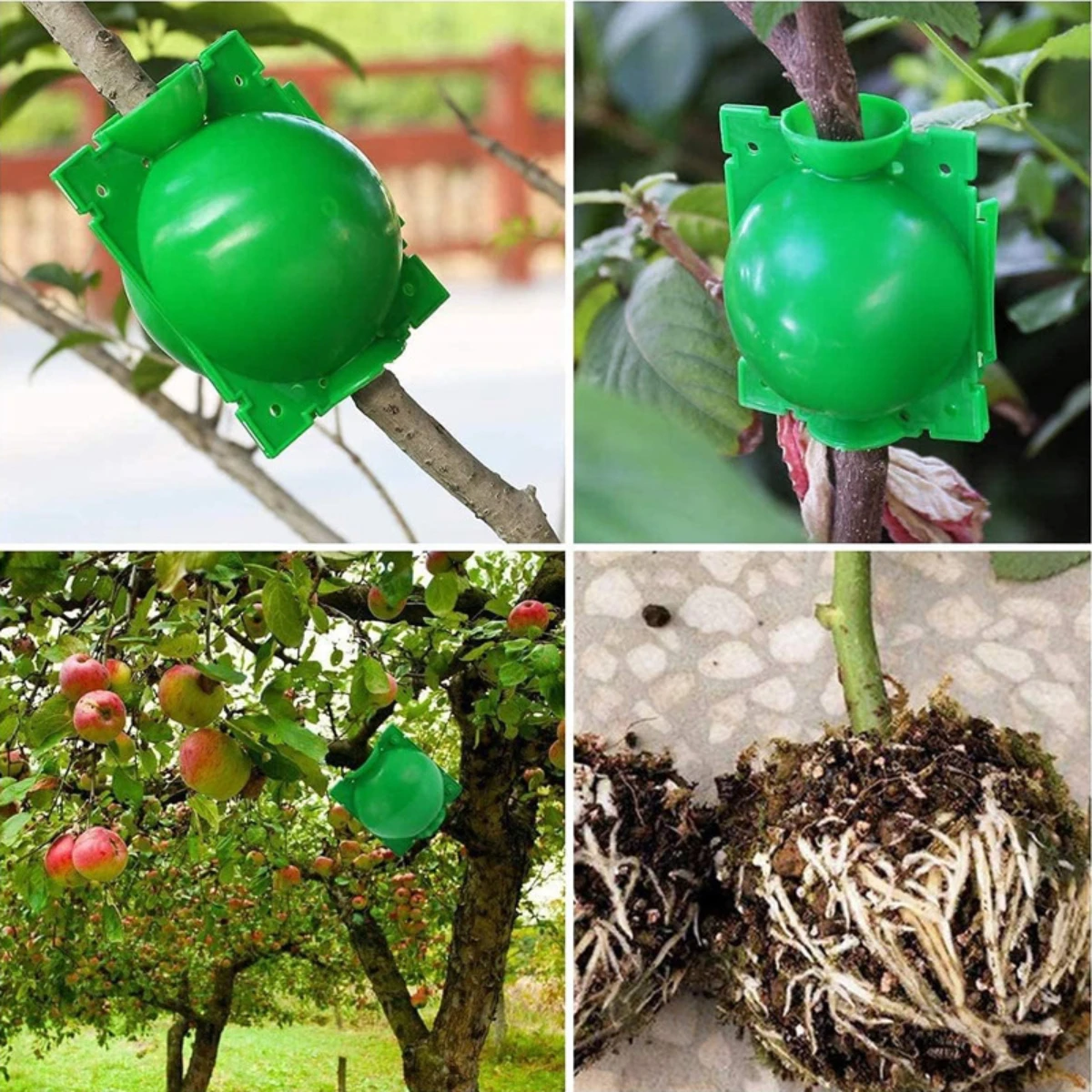 Grafting Box Fruit Tree Cutting Branch Propagation Ball Rooting Device Cultivation Seedling Rooting Ball