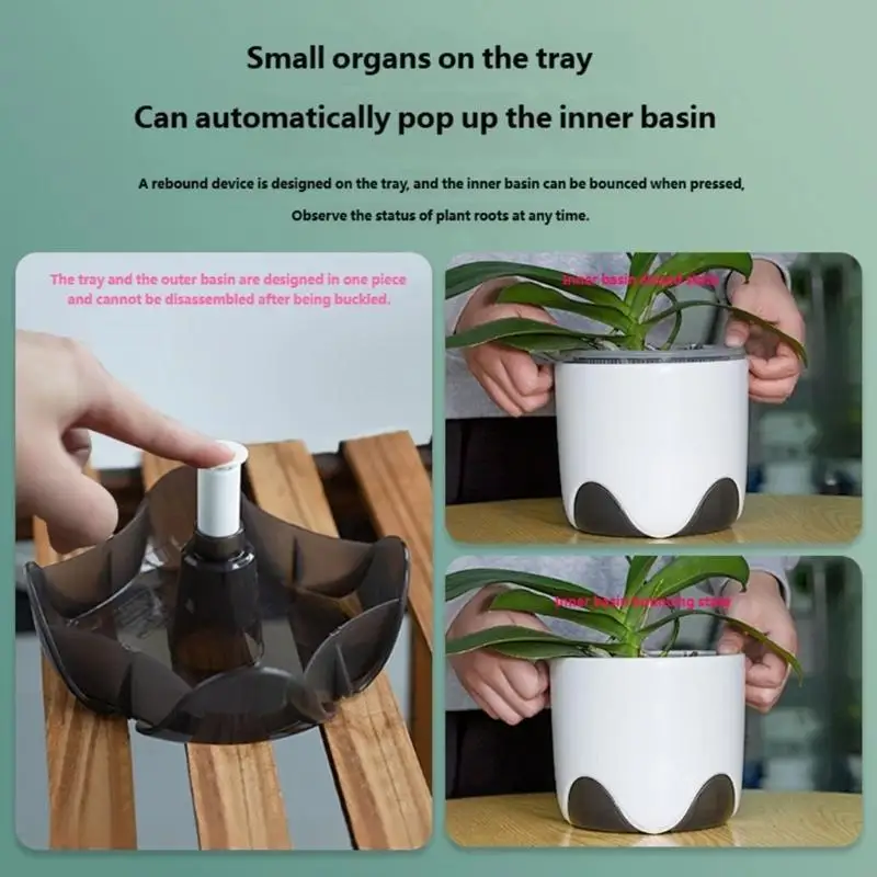   Durable Phalaenopsis Planter Featuring Anti Root Rots Design and Multiple Directional Airflows Structure