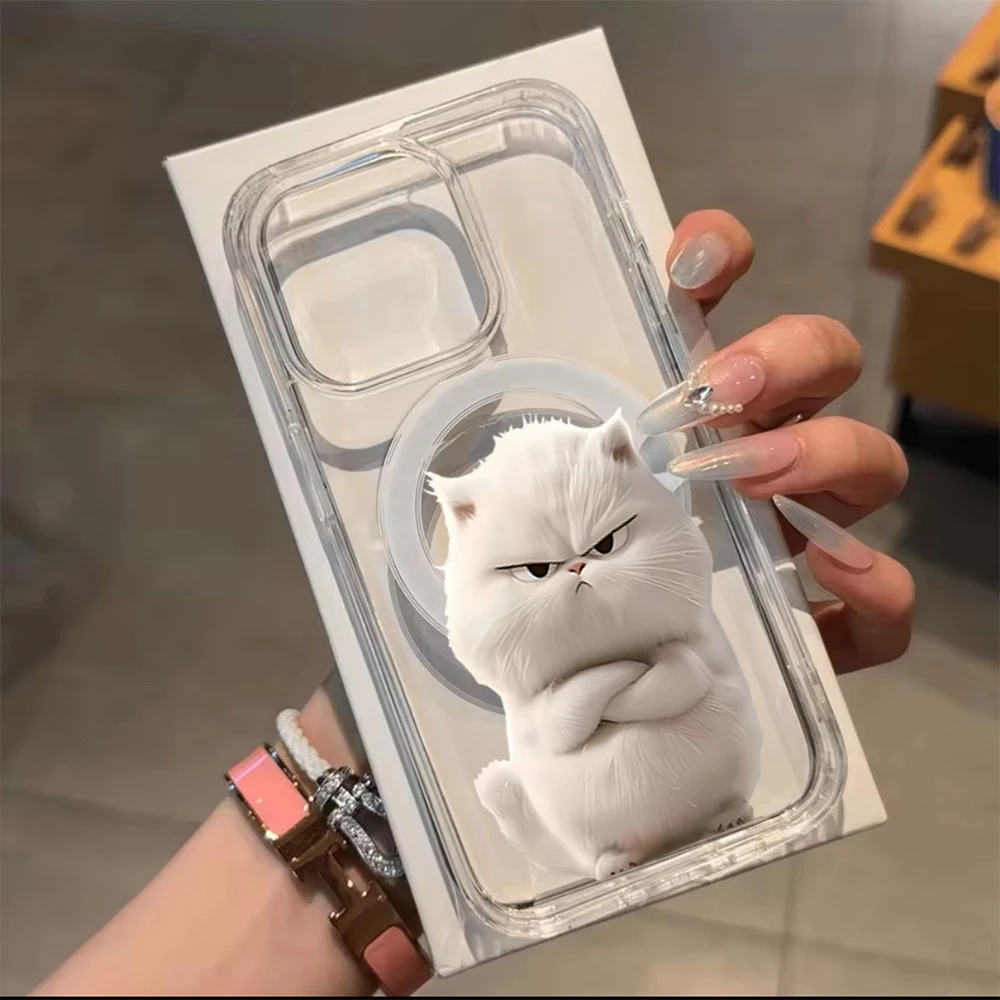 

Handsome Cartoon Cat Magnetic Phone Case For iPhone 14 15 16 17 Plus Pro 11 12 13 17 Pro Max 17 Air Transparent Clear Soft Cover