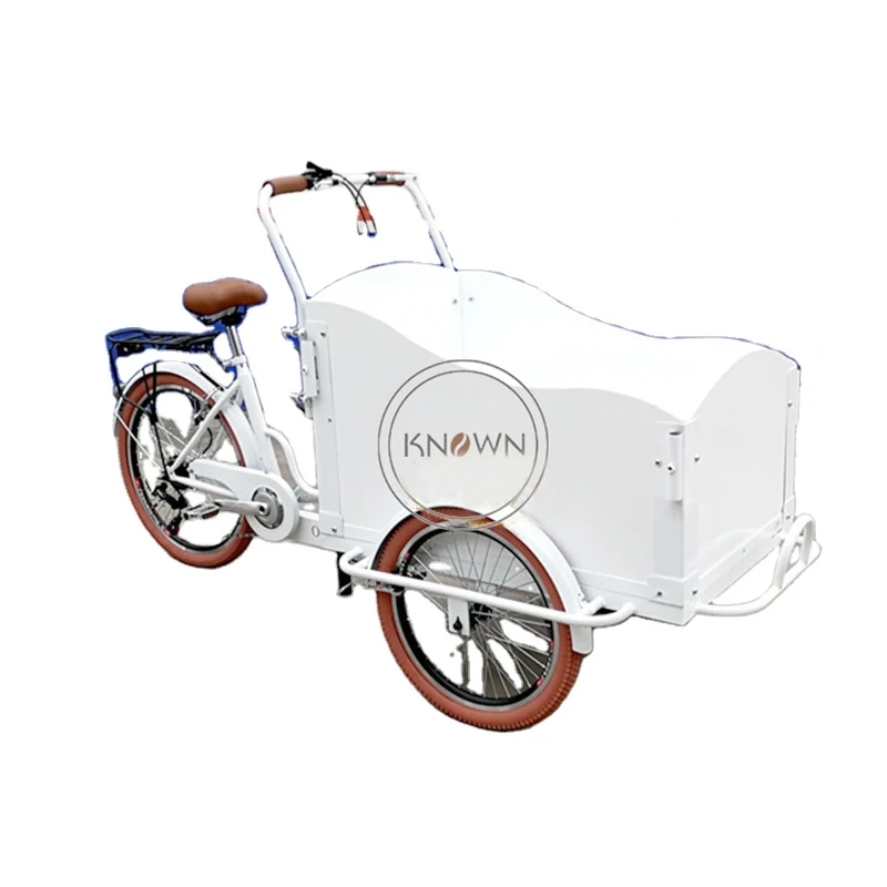 Electric Adult 3 Wheels Cargo Bike Children Transport Tricycle Mobile Snack Food Cart for Sale