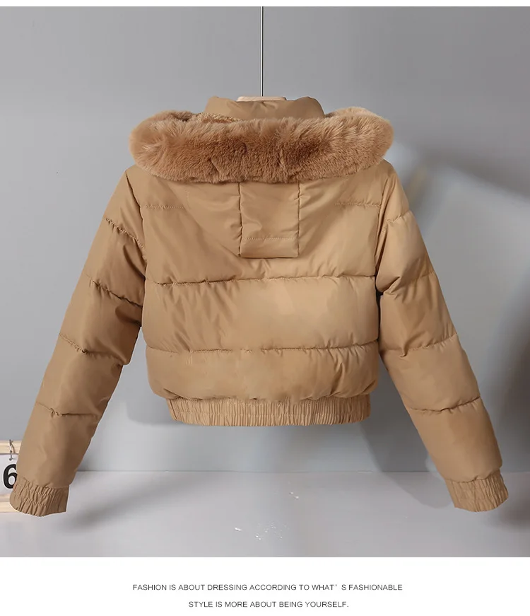 Chaqueta cálida de algodón para mujer, Parkas de manga larga con forro polar grueso, cuello de piel, otoño e invierno, novedad