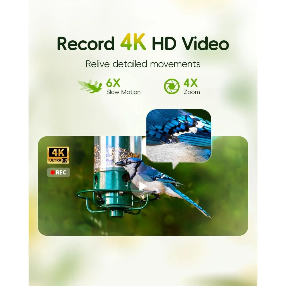Hibird 4K HD Inteligentna Kamera Karmnik dla Ptaków Zasilana Energią Słoneczną, Bezprzewodowa Zewnętrzna WiFi 2.4G/5G, Automatyczne Nagrywanie Wideo Ptaków z Powolnym Odtwarzaniem 6X
