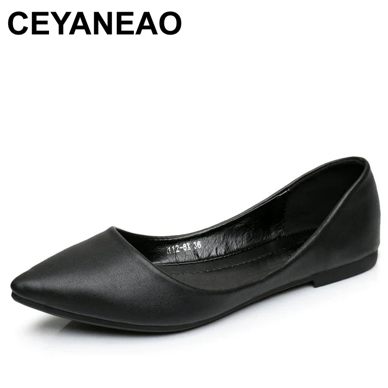 Ceyaneao-女性用フラットシューズ,浅い口,先のとがったつま先,サイズ35-41,ファッション,35-41e974