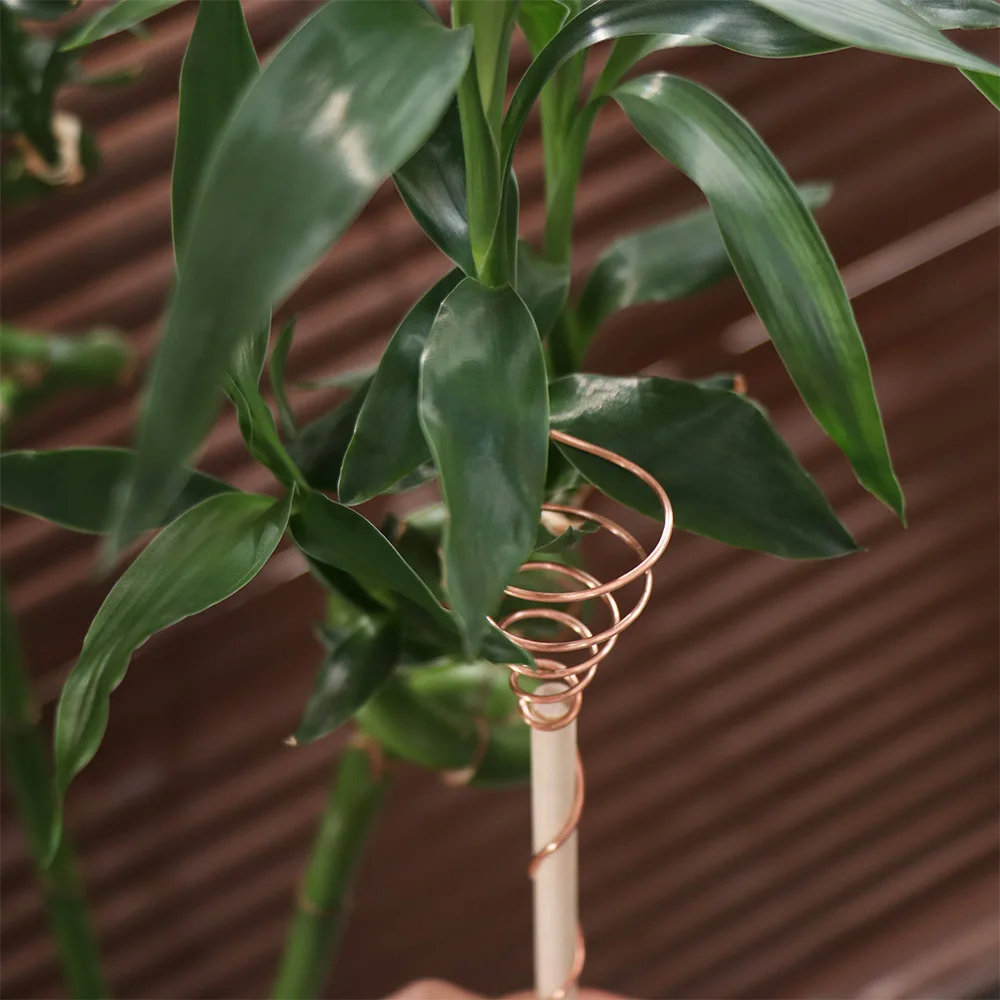 Bonsai Copper Electroculture Plant Stakes Wire Coil Wood Rod Electroculture Vegetables Stake Plant Support Frame Garden