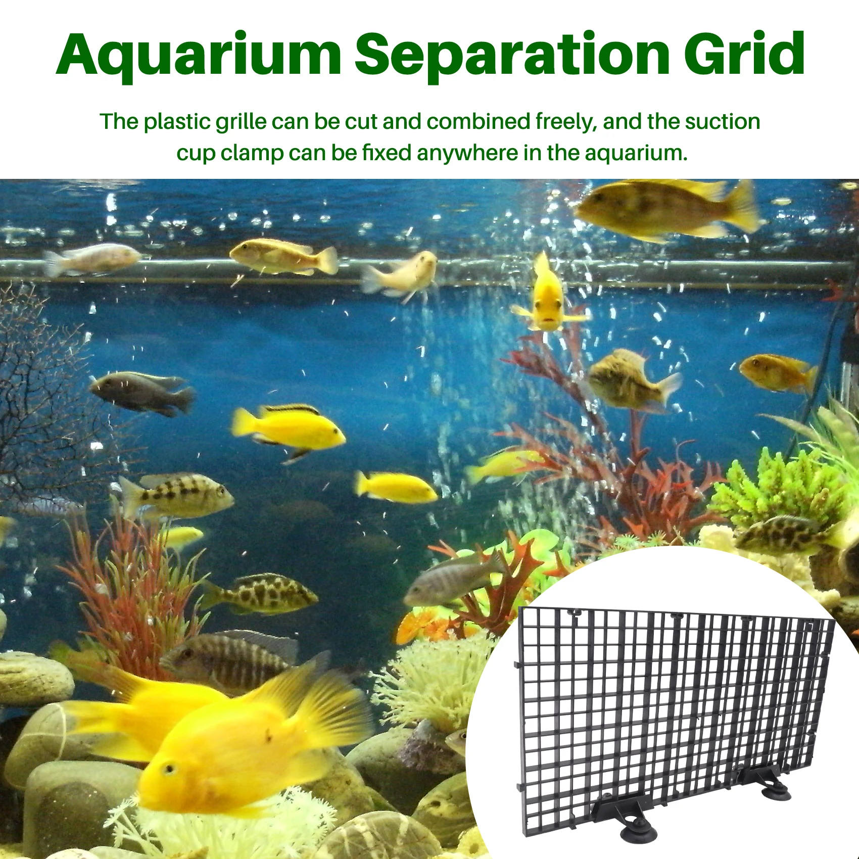 Vassoio Divisorio Premium per  - Tank Divider Mesh recensione e prezzo