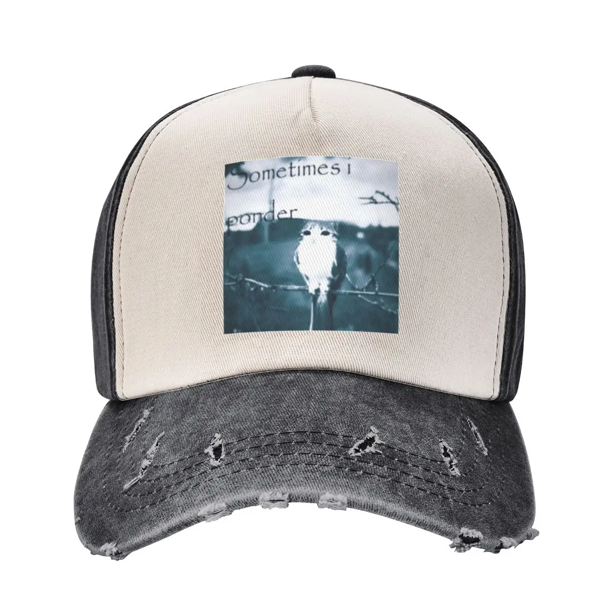 Sometimes i ponder Baseball Cap hiking hat Fashion Beach Trucker Hats For Men Women's