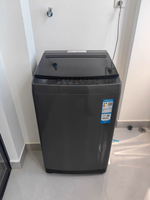 new Haier pulsator washing machine large capacity household dormitory automatic 10kg small gentle washing new model