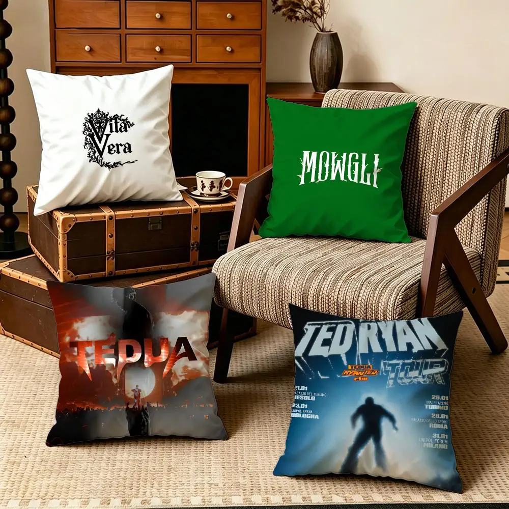 Celebrity-TeduaS Cushion Cover Soft Velvet Cushion Cover Set 4Pcs 50x50 45x45 Zipper Pillowcase for Home Decor