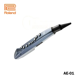 Roland Aerophone mini AE-01 Digital Wind Instrument AE 01 Compact Digital Wind Instrument Easy to Learn and Play