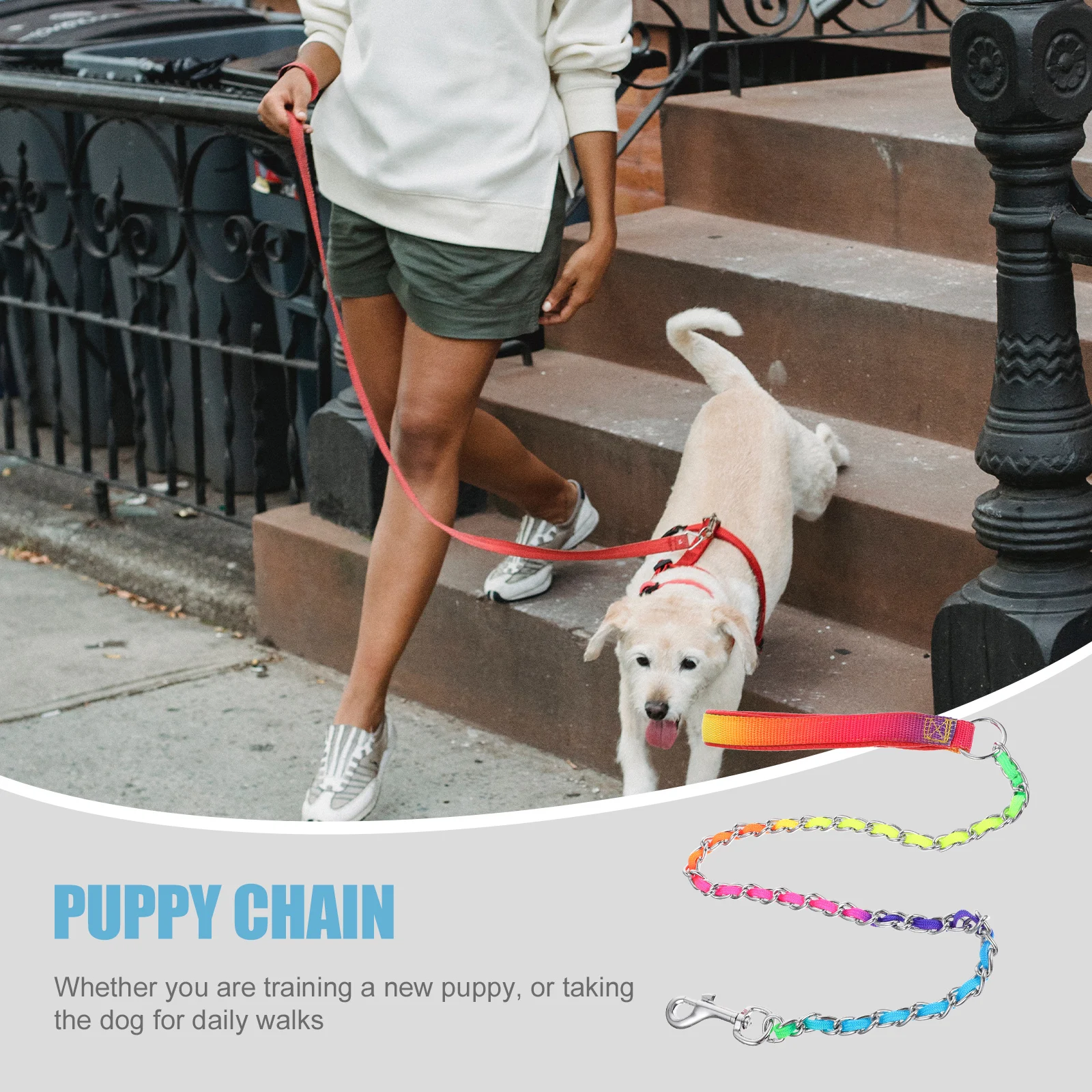 

Anti-bite Chain Dog Chains Outdoors Leash Pet Puppy Rope Choke for Dogs outside Small