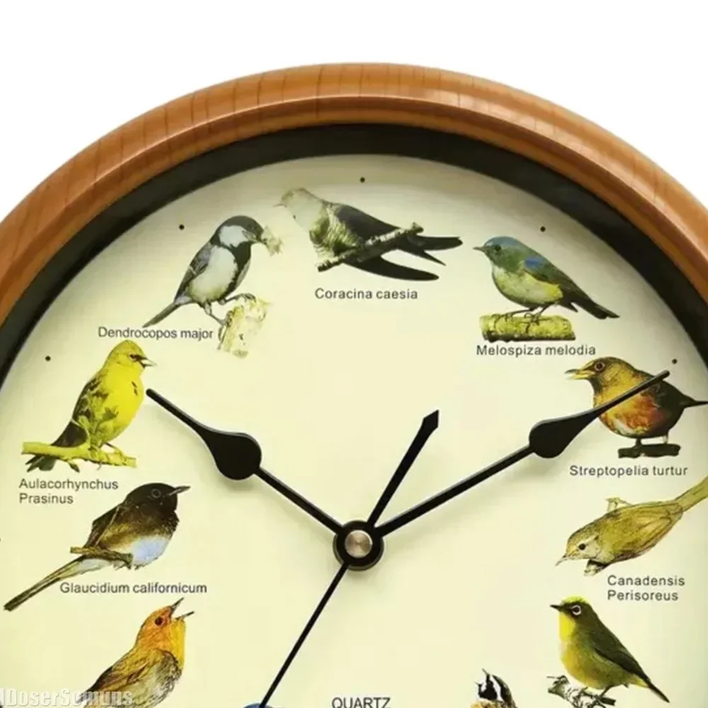 Reloj Musical con diseño de pájaros para colgar en la pared, decoración con sonido, marco verde, melodía para dormitorio y oficina