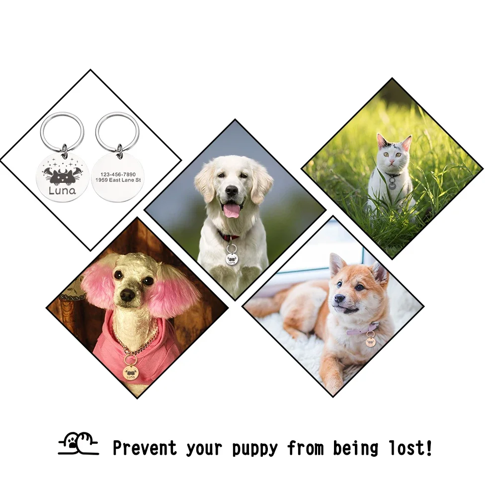 Personalized Cat ID Tag Anti-lost Mirror Pet Name Tags Plates Free Engraving Cats Kitten ID Tag Nameplate Pendant for Pets