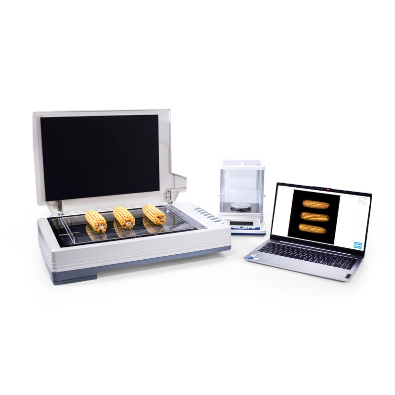 Maize Seed Examination And Analysis System Maize Whole Ear Analyser Seed Examiner Section Analysis System
