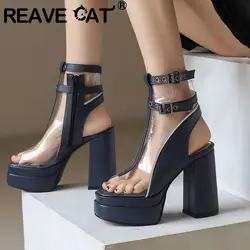 REAVE CAT Platform Women Shoes Pointed Toe Gladiator Sandals Size 46 47 48 Decoration