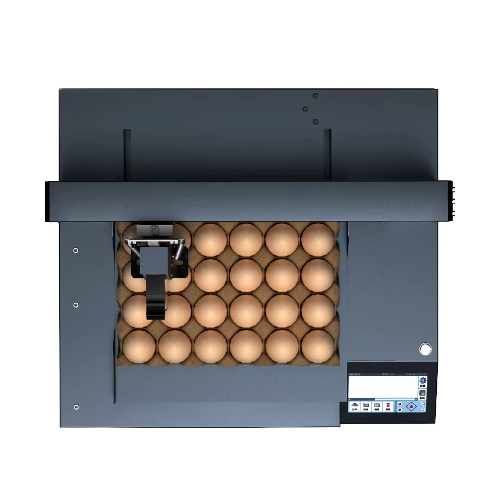 

DP1-150-600 Full-Automatic Printing Duck Egg Production Date Text Symbol Coding Machine