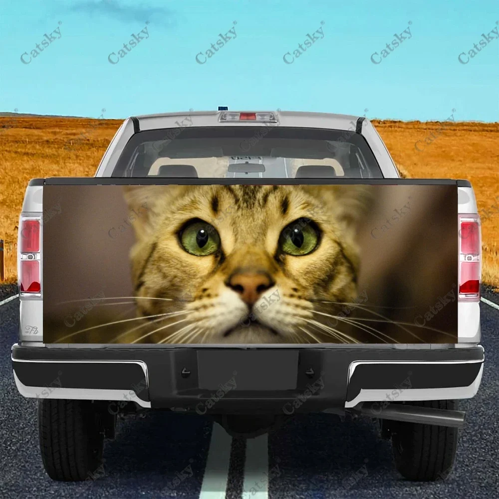 

Bengal Cat Car sticker rear car rear appearance modification package suitable for car truck sticker